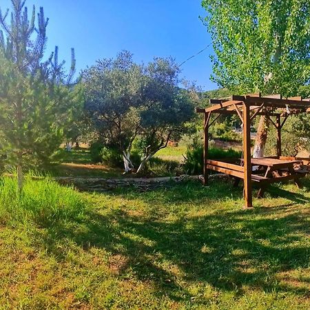 Vita Camping Otel Geyikbayiri Bagian luar foto