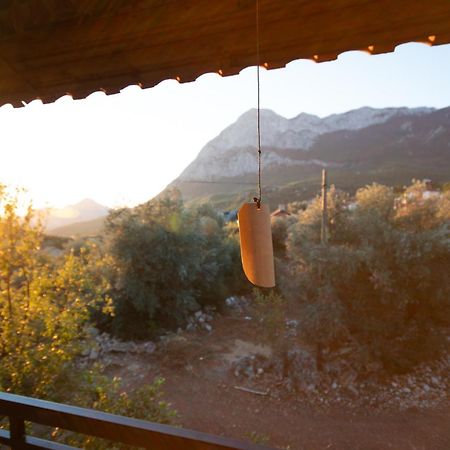 Vita Camping Otel Geyikbayiri Bagian luar foto