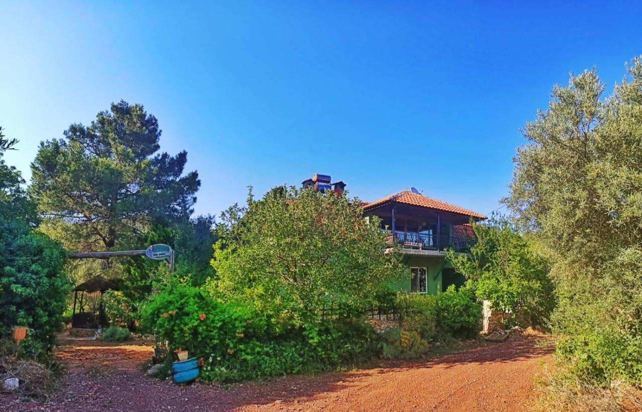 Vita Camping Otel Geyikbayiri Bagian luar foto