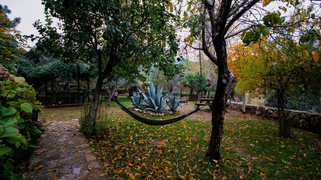 Vita Camping Otel Geyikbayiri Bagian luar foto
