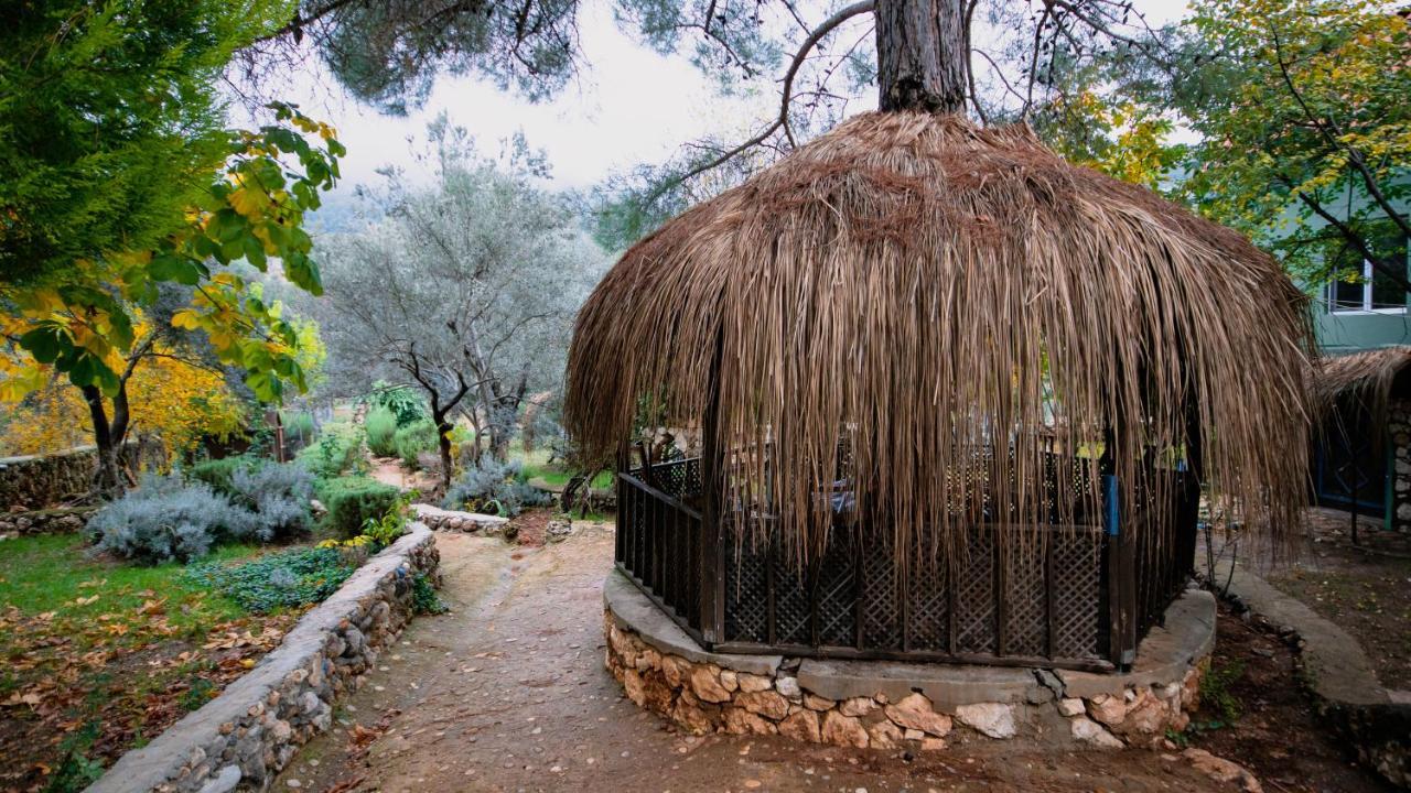 Vita Camping Otel Geyikbayiri Bagian luar foto